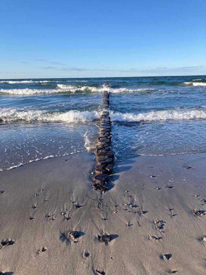 Zingst Achtern Diek 12D Elly Luaran gambar